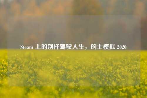 Steam 上的别样驾驶人生，的士模拟 2020