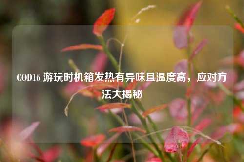 COD16 游玩时机箱发热有异味且温度高，应对方法大揭秘