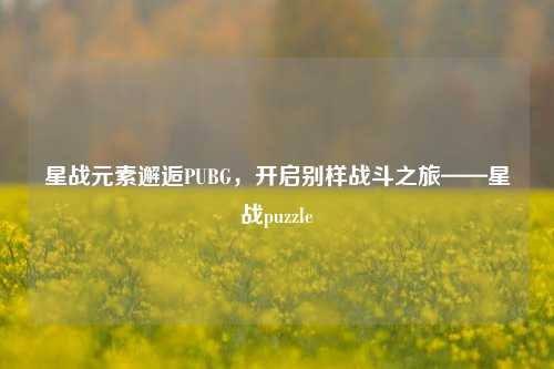 星战元素邂逅PUBG，开启别样战斗之旅——星战puzzle