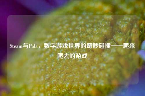 Steam与Pala，数字游戏世界的奇妙碰撞——爬来爬去的游戏