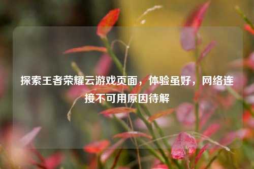 探索王者荣耀云游戏页面，体验虽好，网络连接不可用原因待解