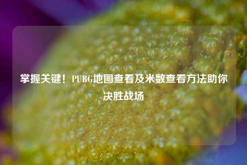 掌握关键!PUBG地图查看及米数查看方法助你决胜战场