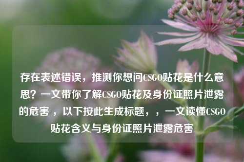 存在表述错误，推测你想问CSGO贴花是什么意思？一文带你了解CSGO贴花及身份证照片泄露的危害 ，以下按此生成标题，，一文读懂CSGO贴花含义与身份证照片泄露危害