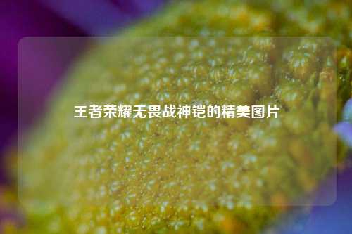 王者荣耀无畏战神铠的精美图片