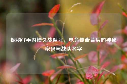 探秘CF手游情久战队号，电竞传奇背后的神秘密码与战队名字