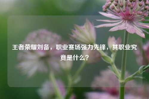 王者荣耀刘备,职业赛场强力先锋,其职业究竟是什么?