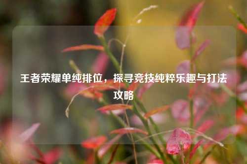 王者荣耀单纯排位,探寻竞技纯粹乐趣与打法攻略