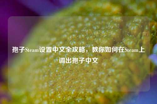 孢子Steam设置中文全攻略，教你如何在Steam上调出孢子中文