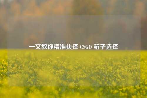 一文教你精准抉择 CSGO 箱子选择