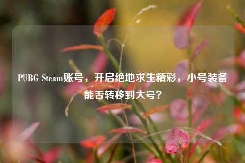 PUBG Steam账号，开启绝地求生精彩，小号装备能否转移到大号？