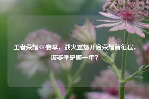 王者荣耀S10赛季,战火重燃开启荣耀新征程,该赛季是哪一年?