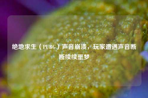 绝地求生（PUBG）声音崩溃，玩家遭遇声音断断续续噩梦