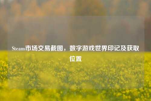 Steam市场交易截图，数字游戏世界印记及获取位置