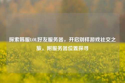 探索韩服LOL好友服务器，开启别样游戏社交之旅，附服务器位置探寻