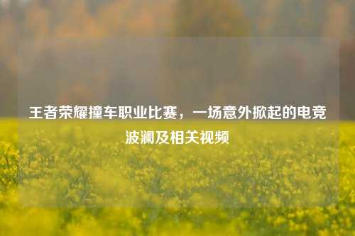 王者荣耀撞车职业比赛，一场意外掀起的电竞波澜及相关视频