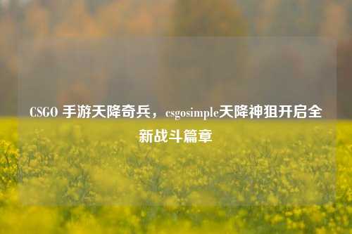 CSGO 手游天降奇兵，csgosimple天降神狙开启全新战斗篇章