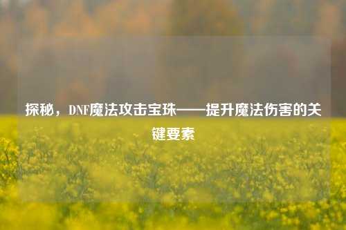 探秘，DNF魔法攻击宝珠——提升魔法伤害的关键要素