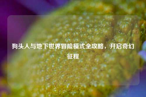 狗头人与地下世界冒险模式全攻略，开启奇幻征程
