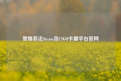 警惕非法Steam及CSGO卡盟平台官网