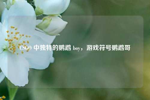 CSGO 中独特的鹦鹉 boy，游戏符号鹦鹉哥