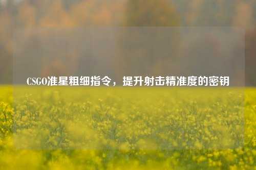 CSGO准星粗细指令，提升射击精准度的密钥