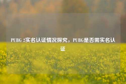 PUBG 2实名认证情况探究，PUBG是否需实名认证