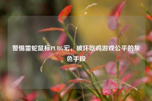 警惕雷蛇鼠标PUBG宏，破坏吃鸡游戏公平的灰色手段