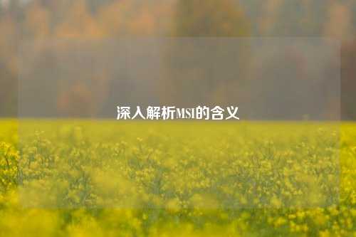 深入解析MSI的含义