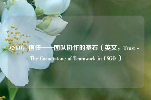 CSGO，信任——团队协作的基石（英文，Trust - The Cornerstone of Teamwork in CSGO ）
