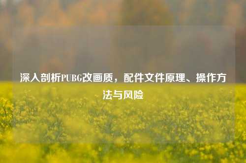 深入剖析PUBG改画质，配件文件原理、操作方法与风险