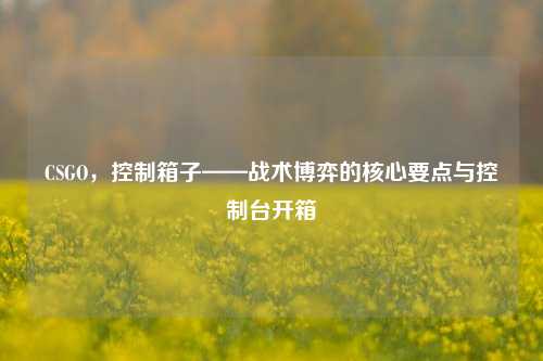 CSGO，控制箱子——战术博弈的核心要点与控制台开箱