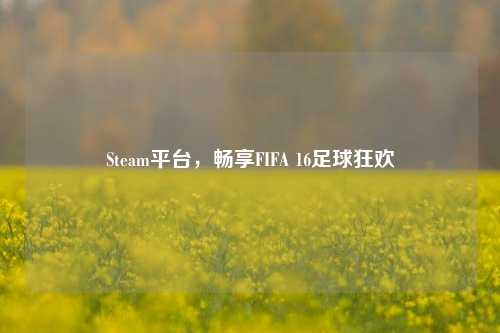 Steam平台，畅享FIFA 16足球狂欢