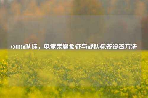 COD16队标，电竞荣耀象征与战队标签设置方法