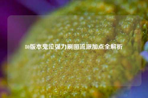 80版本鬼泣强力刷图流派加点全解析