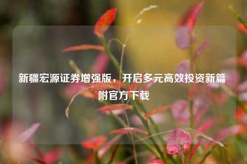 新疆宏源证券增强版，开启多元高效投资新篇 附官方下载