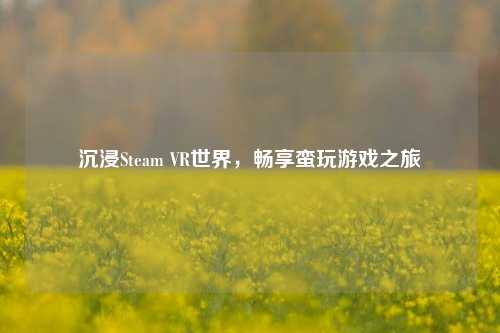 沉浸Steam VR世界，畅享蛮玩游戏之旅