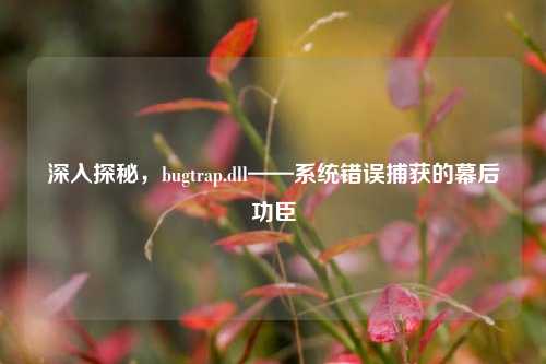 深入探秘，bugtrap.dll——系统错误捕获的幕后功臣