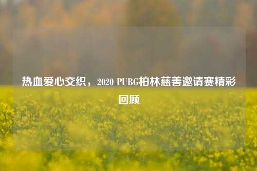 热血爱心交织，2020 PUBG柏林慈善邀请赛精彩回顾