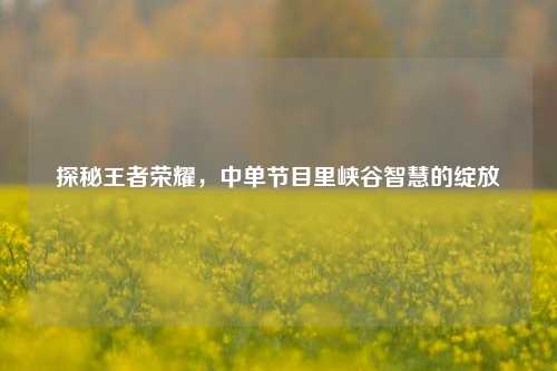 探秘王者荣耀，中单节目里峡谷智慧的绽放