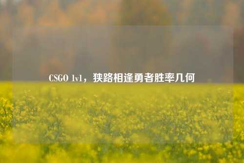 CSGO 1v1，狭路相逢勇者胜率几何