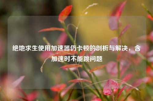 绝地求生使用加速器仍卡顿的剖析与解决，含加速时不能跳问题