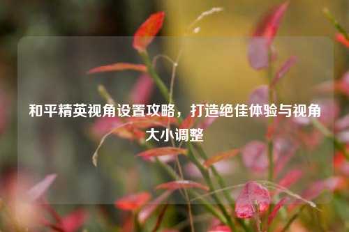 和平精英视角设置攻略，打造绝佳体验与视角大小调整