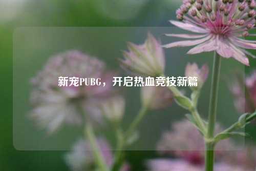 新宠PUBG，开启热血竞技新篇