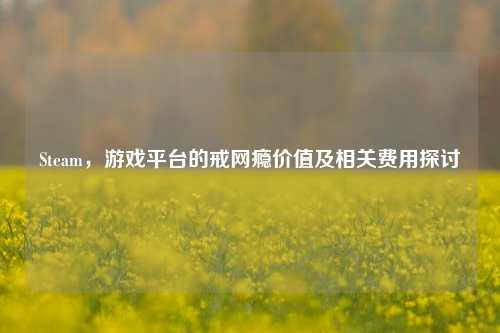 Steam，游戏平台的戒网瘾价值及相关费用探讨