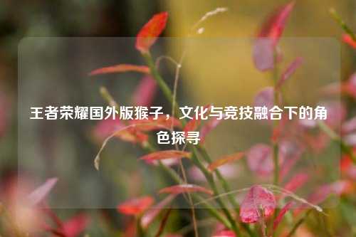 王者荣耀国外版猴子，文化与竞技融合下的角色探寻