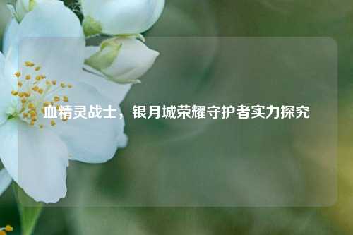 血精灵战士,银月城荣耀守护者实力探究