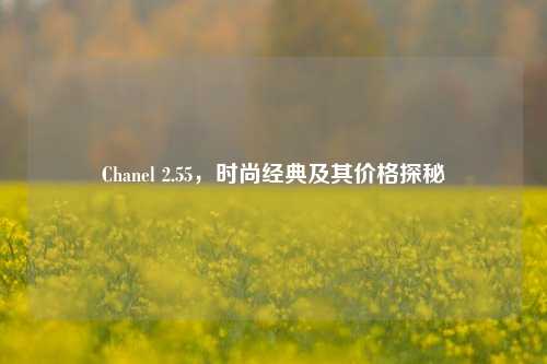 Chanel 2.55，时尚经典及其价格探秘