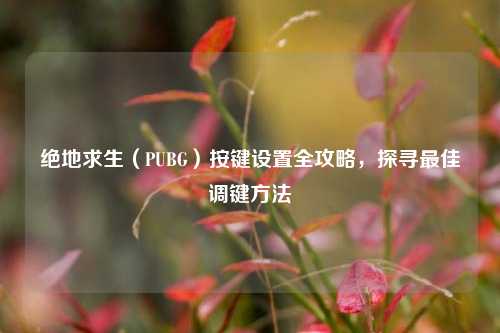 绝地求生（PUBG）按键设置全攻略，探寻最佳调键方法