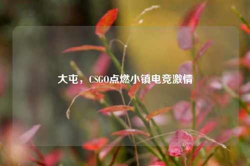 大屯，CSGO点燃小镇电竞激情