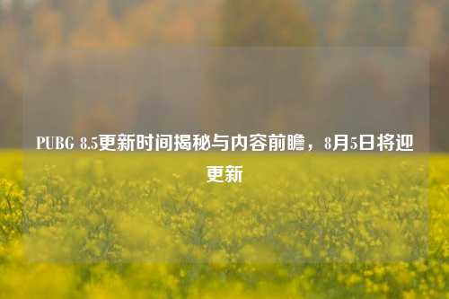 PUBG 8.5更新时间揭秘与内容前瞻，8月5日将迎更新